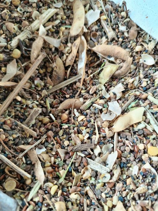 Зерно ячмень Отруби отходы