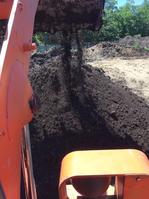 Societate comerciala vinde ingrasamant natur/turba negra/mranita/baleg