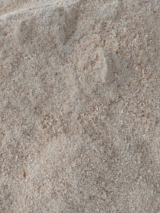 Rășinoase de brad și molid