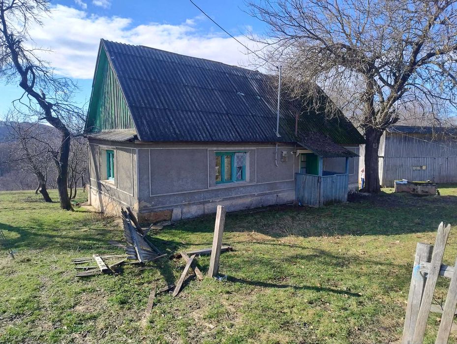 Teren cu panorama de vis , Borod