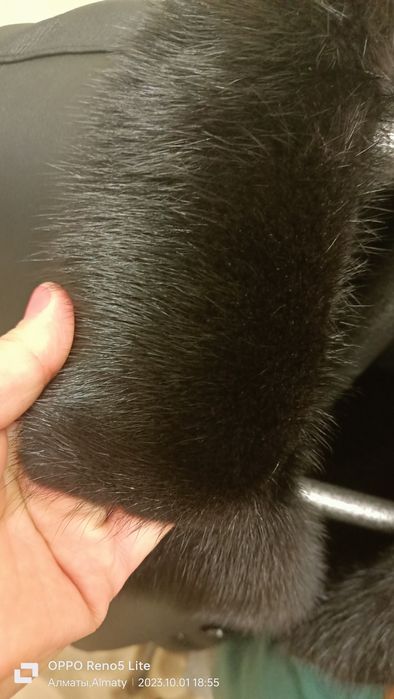 Мужская дубленка