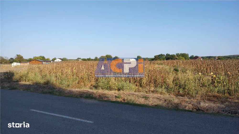 Teren de vanzare 3800 mp,Calugareni,Giurgiu,17 euro mp negociabil