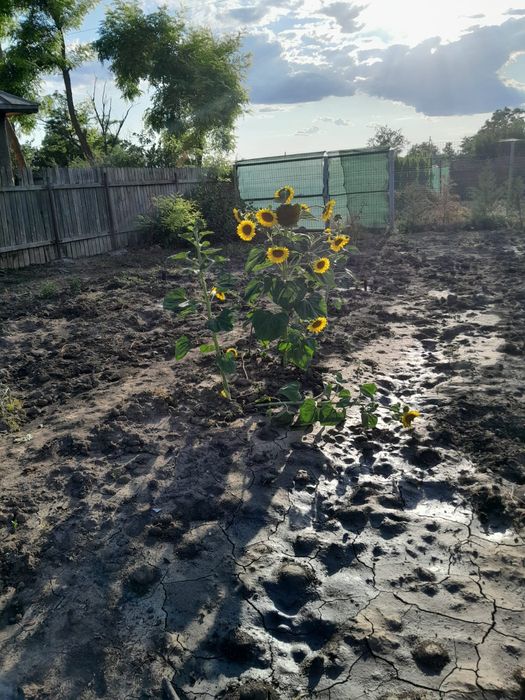 vand teren cu cabana