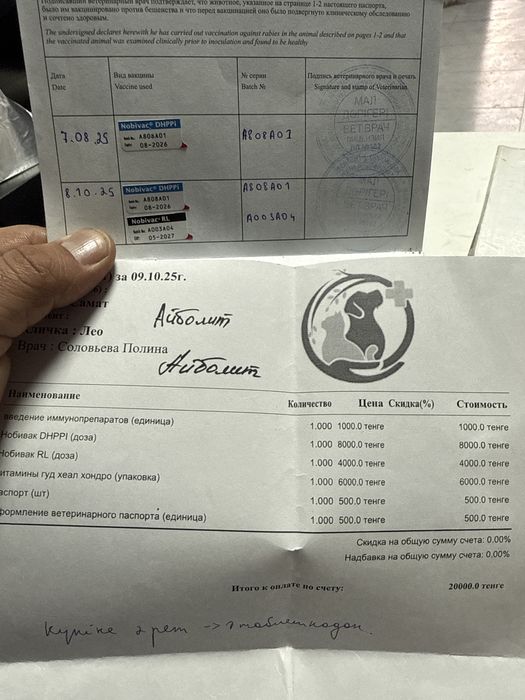 Кушік 7 айлық Паспорттыда бар