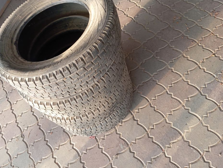 Продам ризина зима