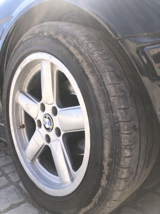 Продам Шницера 17 размер с балонами