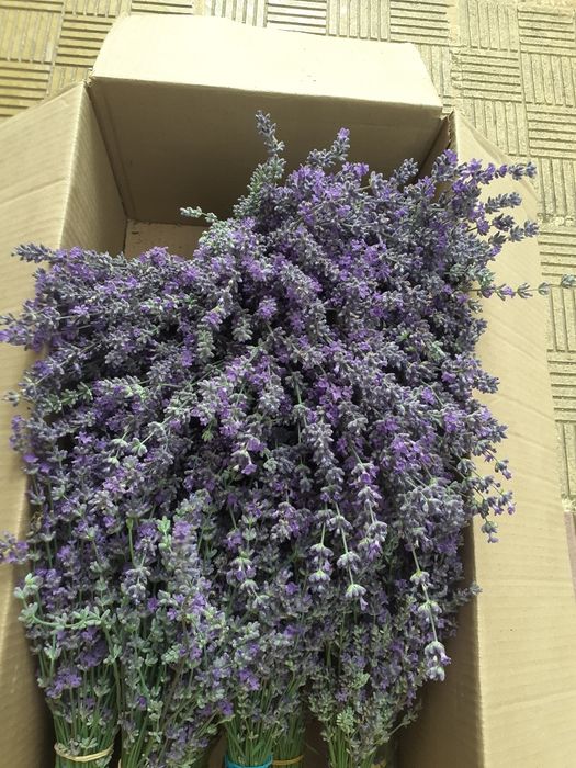 Цвят от лавандула.