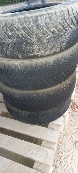 Жентрани балонлари