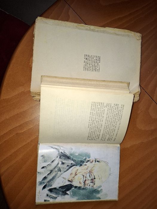 Представям Ви антикварни издания  на А. Дюма и Чудомир