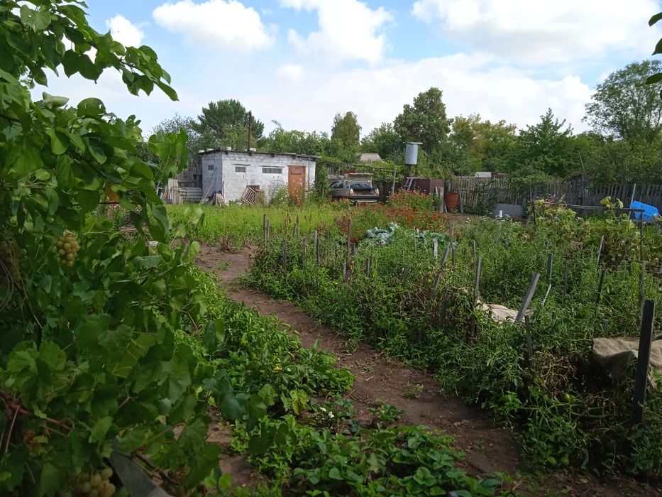 Продам дачу сад южный