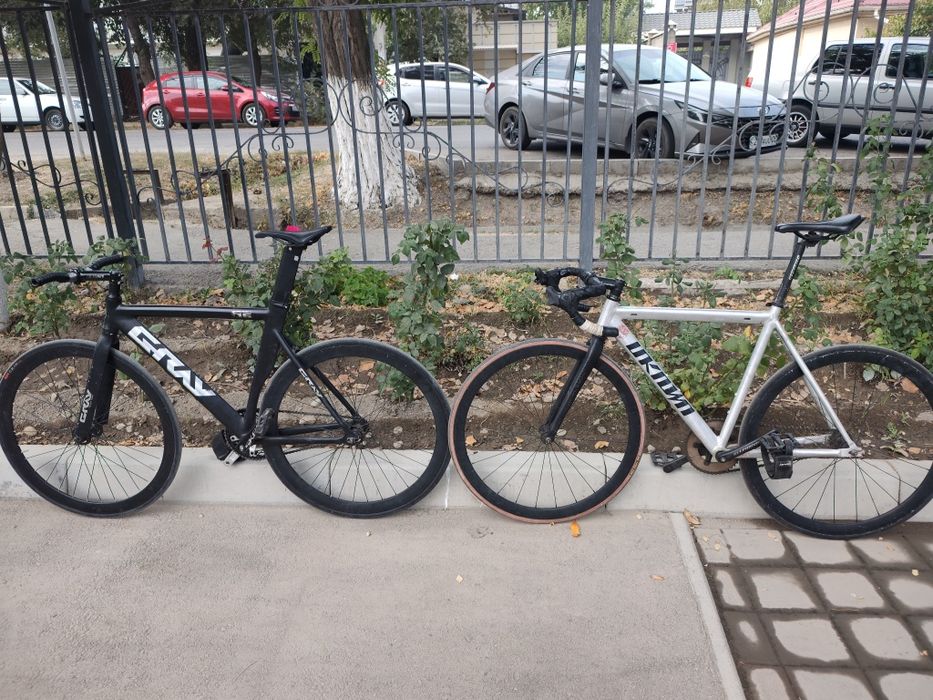 unknown fixedgear