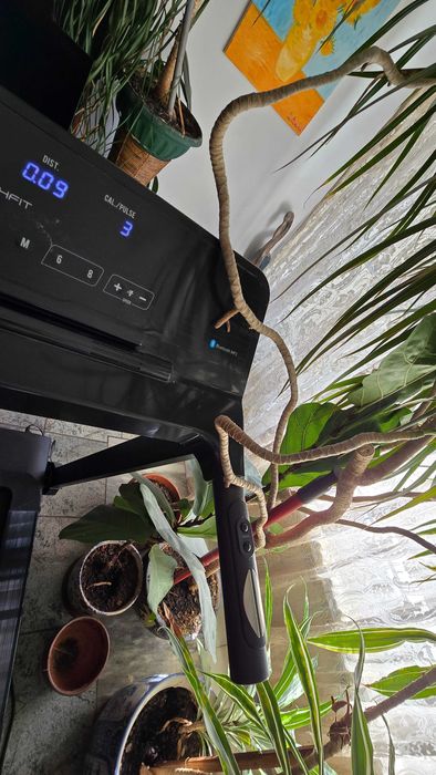 Бягаща пътека марка Techfit