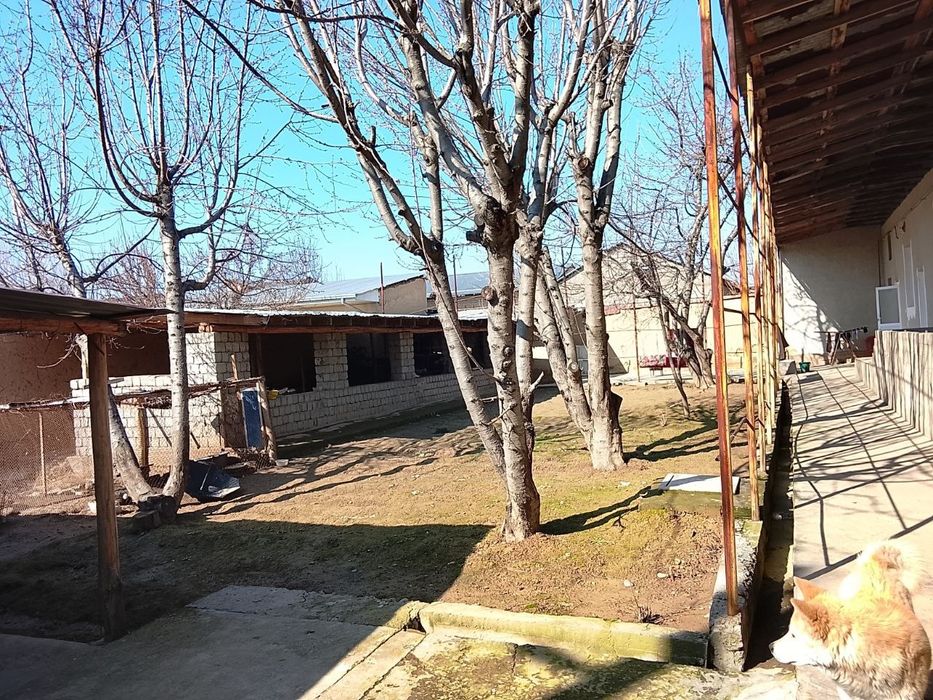 Nazarbek yer sotildi 4sotik