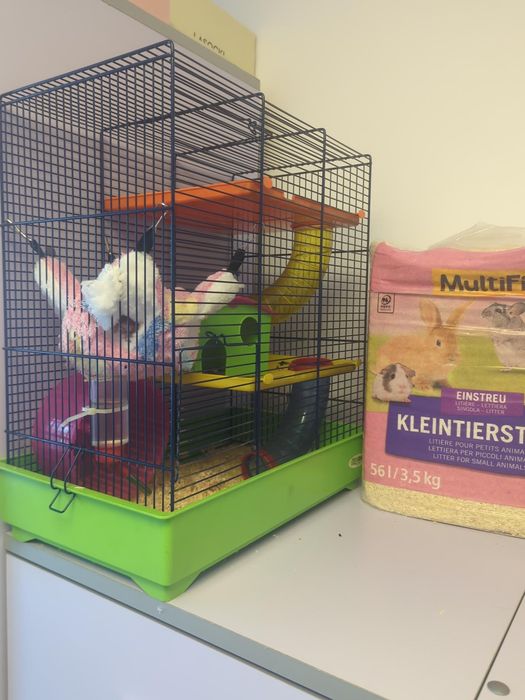 Doi Hamsteri pitici cu cușcă complet echipată și accesorii