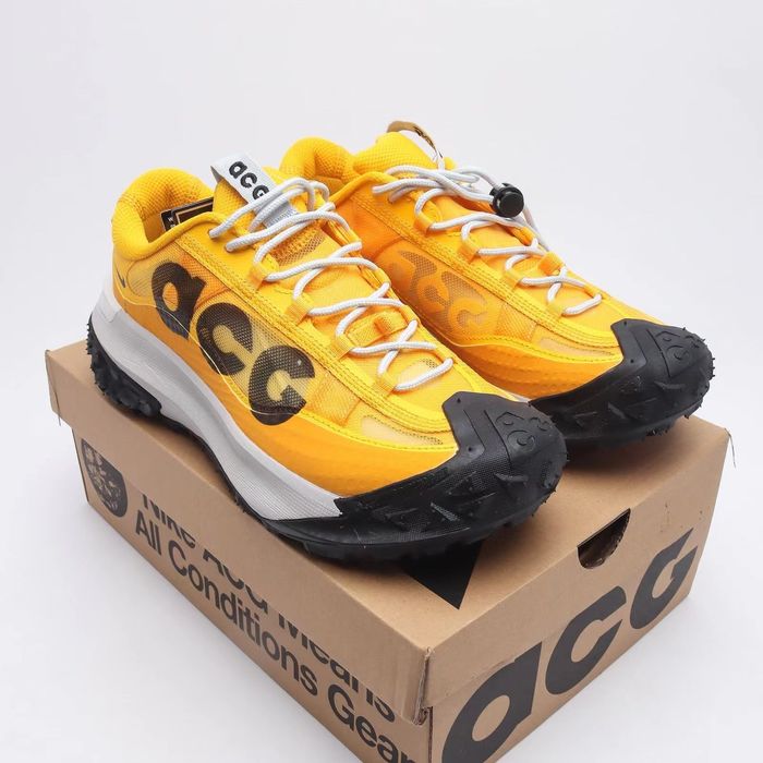Nike Acg mountain fly 2