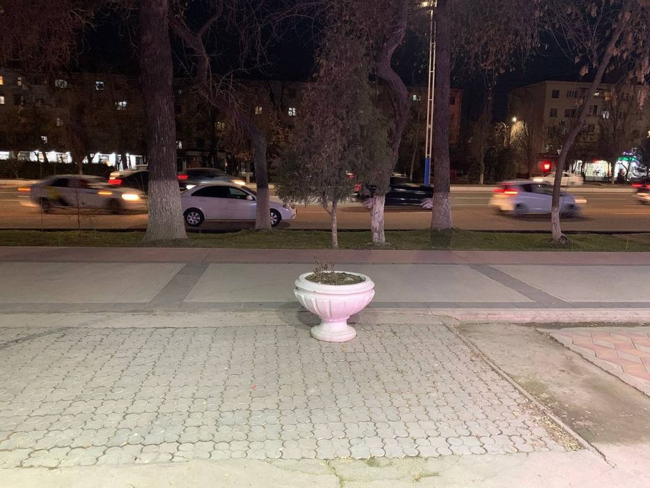 Magazin Tayor biznes