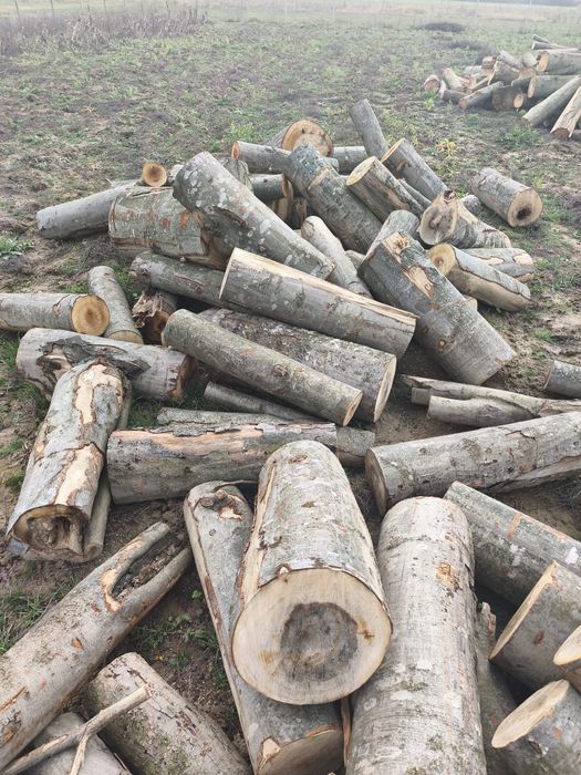 Aduc lemne pe comanda