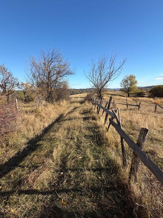 Teren de vis Horezu 10 000m