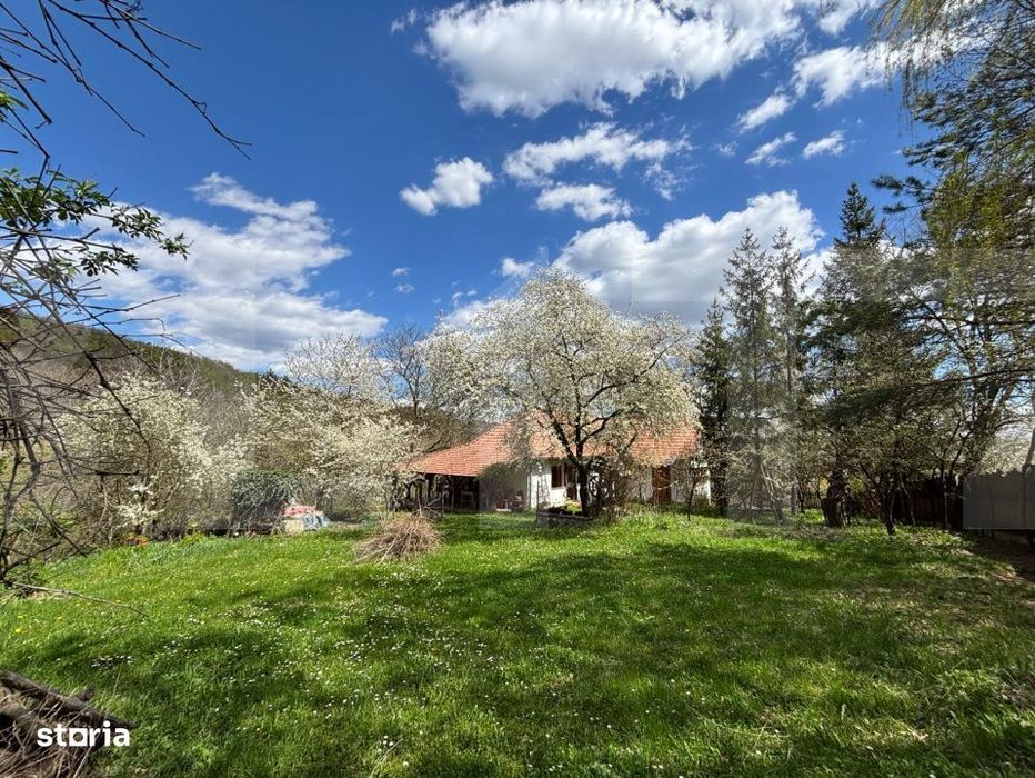 Casa rustica cu livada in Zalan, com. Bodoc, jud. Covasna