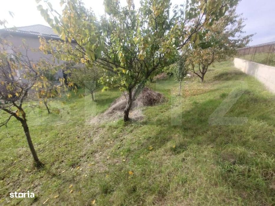 Teren intravilan 728 mp – Sigmir, cu toate utilitatile la poarta