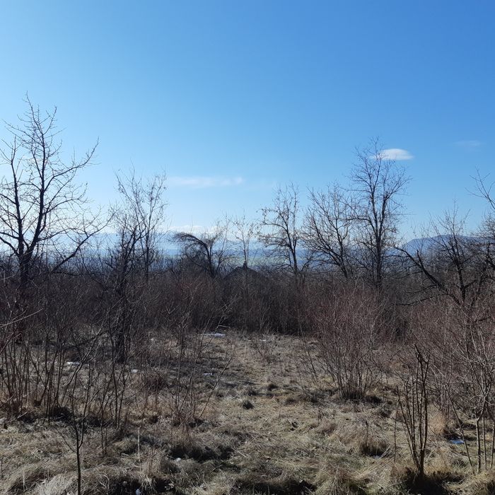 Продава се Парцел в Севлиево - 1450 кв.м за 9 €/кв.м - Снимка #3