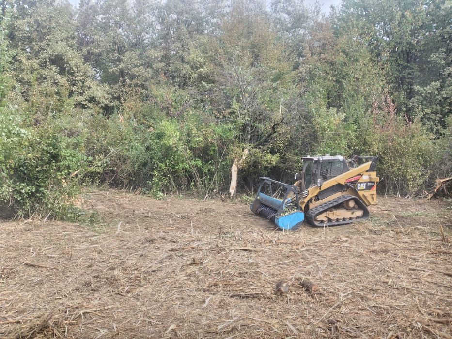 curățare teren defrisari tocator forestier burghiu pământ freză cioate