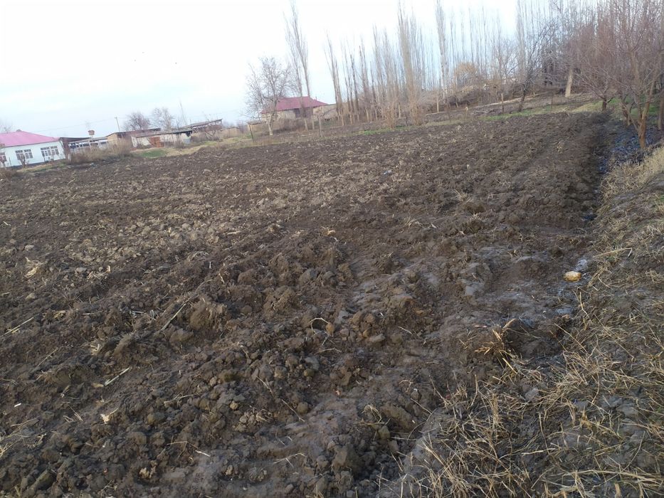 Toshkent viloyati quyichirchi tumani 5 bolim