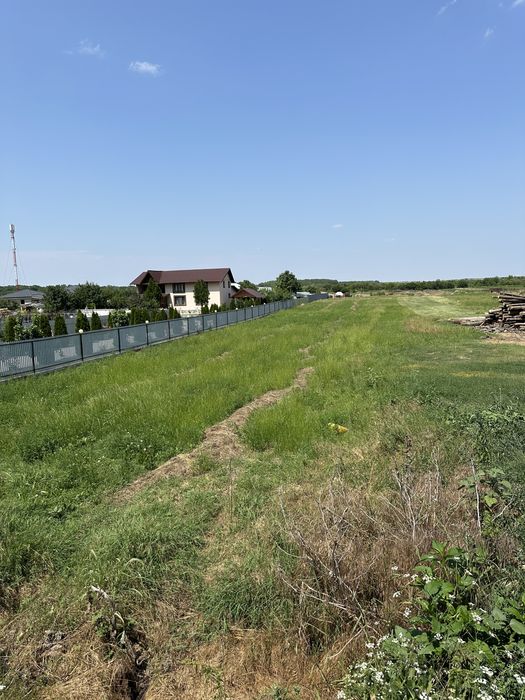 Teren intravilan ,comuna Bulbucata , judetul Giurgiu,2500 mp,10€\mp