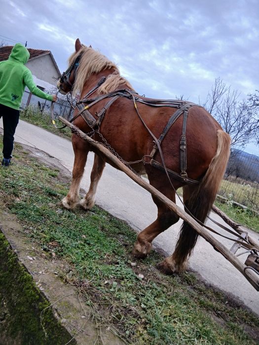 1111111111111111111111111111