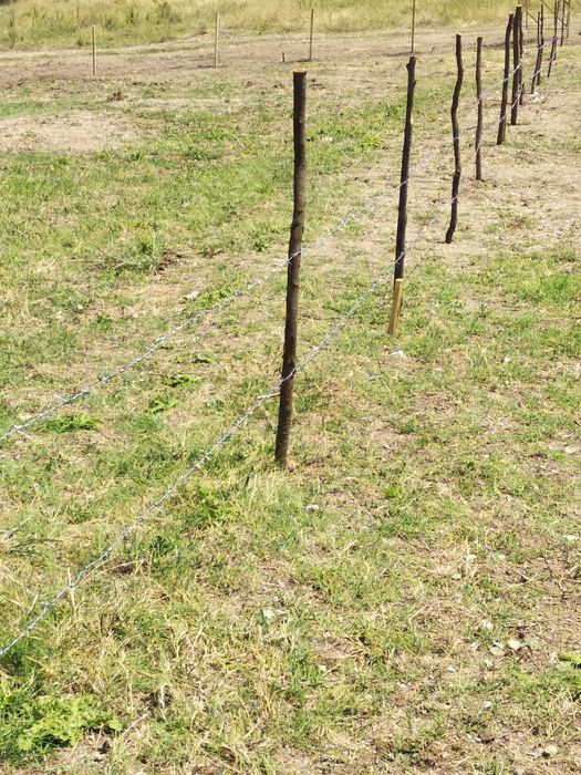 Продава се Парцел в София, Младост 1 - 971 кв.м за 44 €/кв.м - Снимка #1