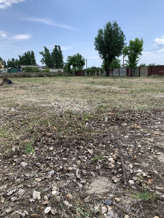 Servicii de curățare și defrișare ternuri de vegetație spontană….etc!!