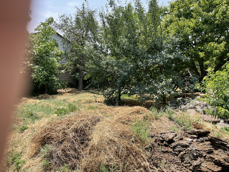 Oq toshda yer sotiladi