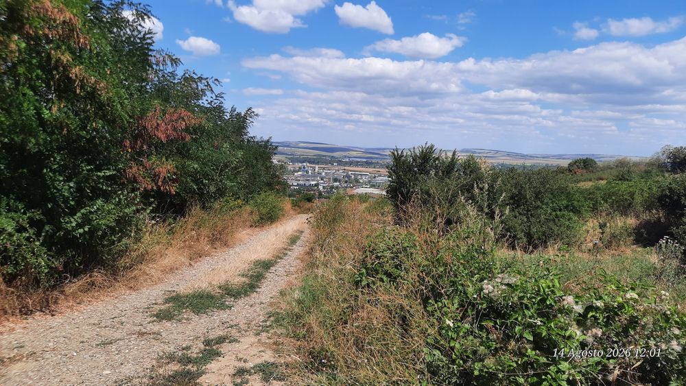 Teren 10000mp in Tomesti