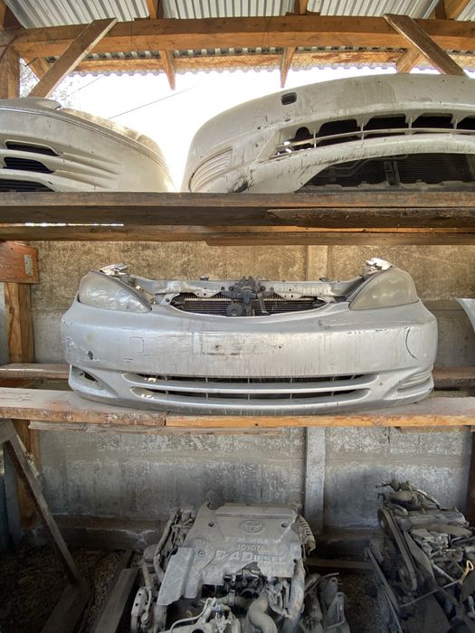 Ноускаты(мини-морды) Камри 30-35