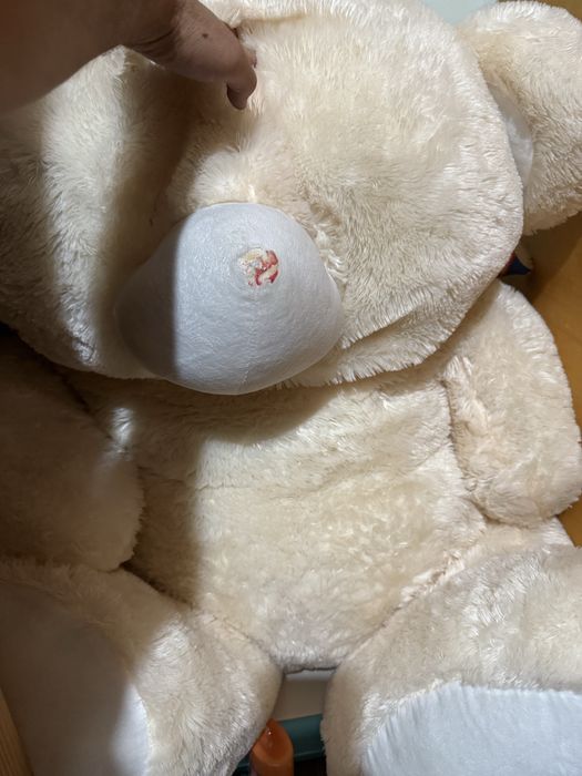 Медвежонок новый