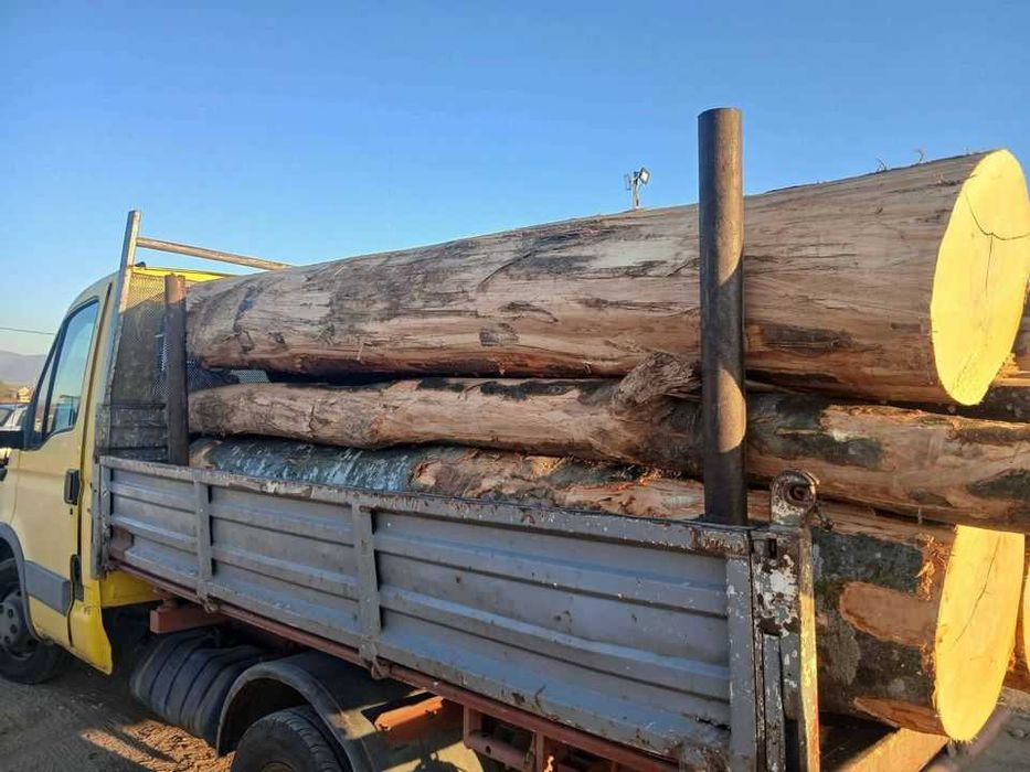 Vand lemn pentru foc de esenta tare, fag