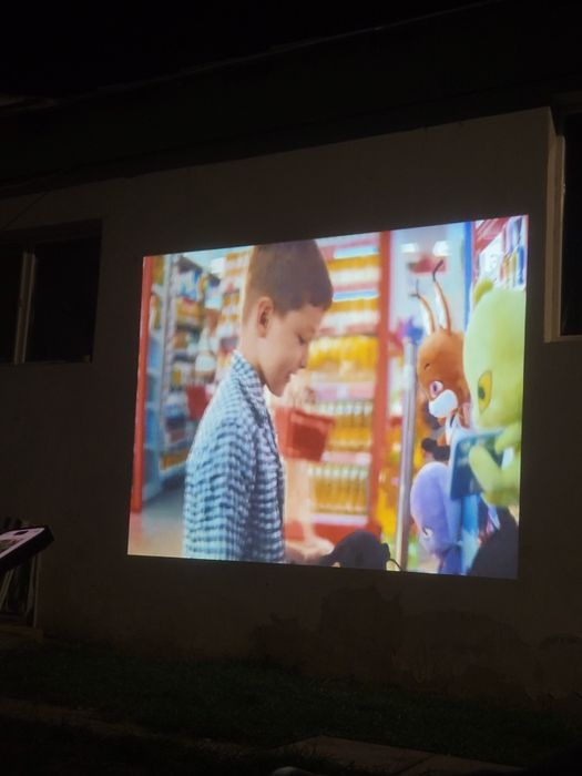 Video proiector profesional Mitsubishi XD3500U