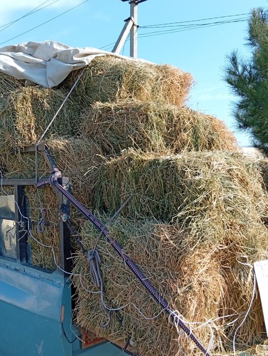 Beda pres 3- uroq 42 ming