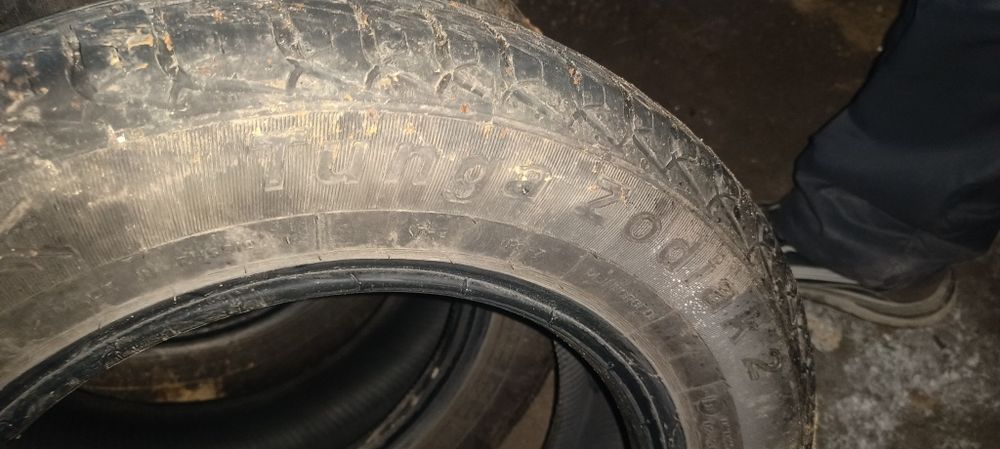 Шины летние Tunga Zodiac 2