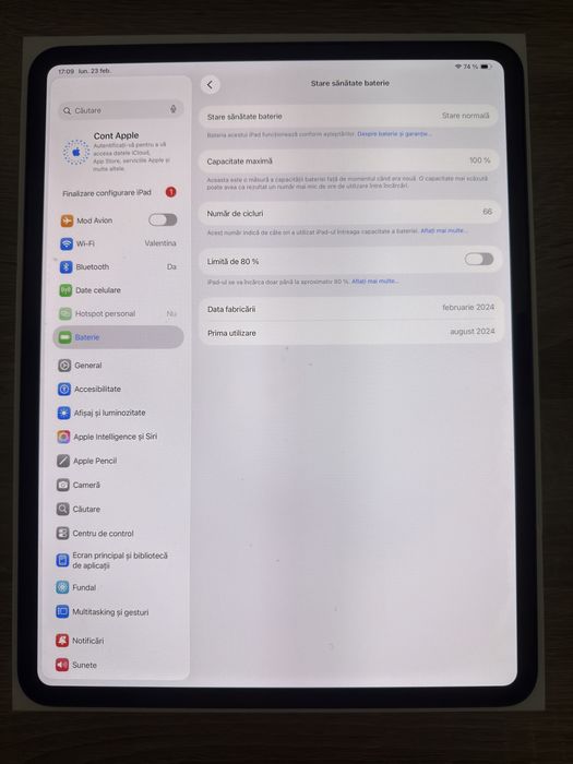 Ipad pro M4 13" 256GB cellular baterie 100%