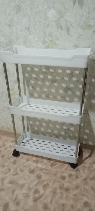 Ракушки с Анапы раковины