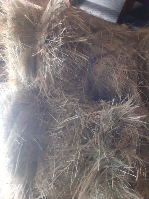 Baloti de fân de vânzare