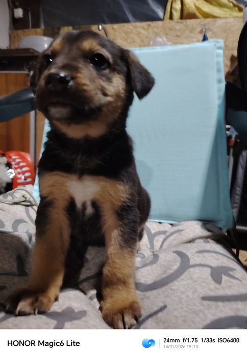 Подарявам бебета