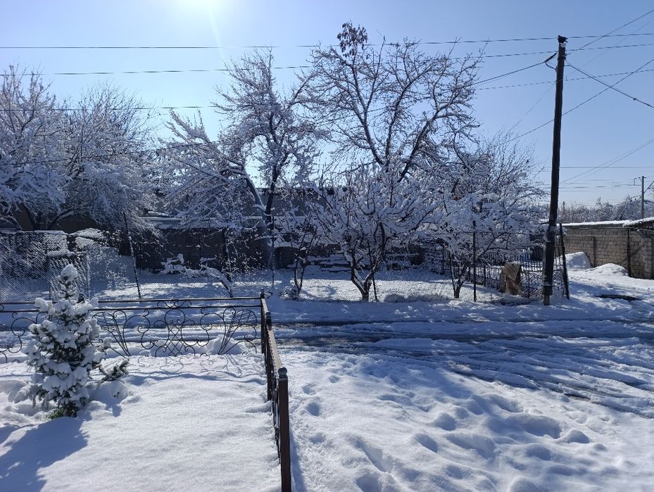 Сдается в аренду земля самозахват