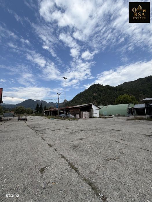 Proprietate Industrială / Comercială 25.951 Mp – Brezoi, Valcea