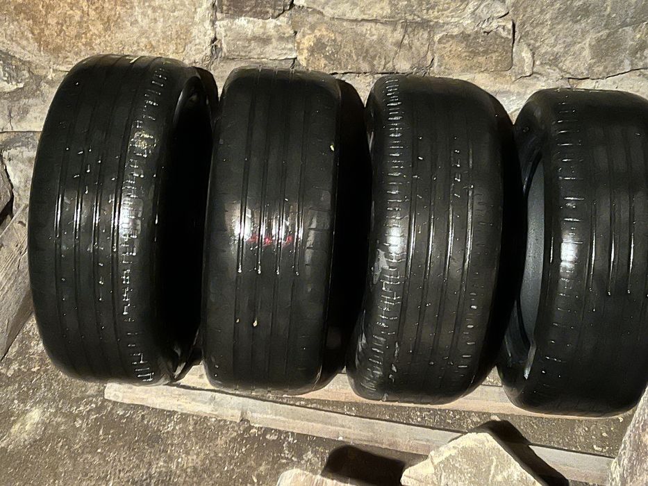 Caucicuri de vara Continental