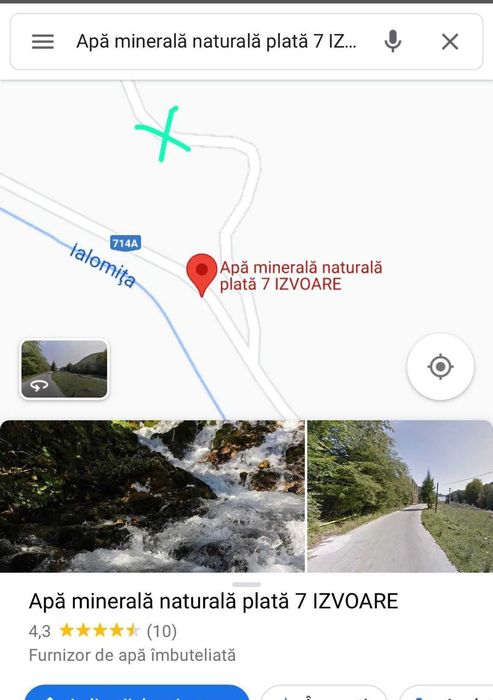 Teren de vis in padure