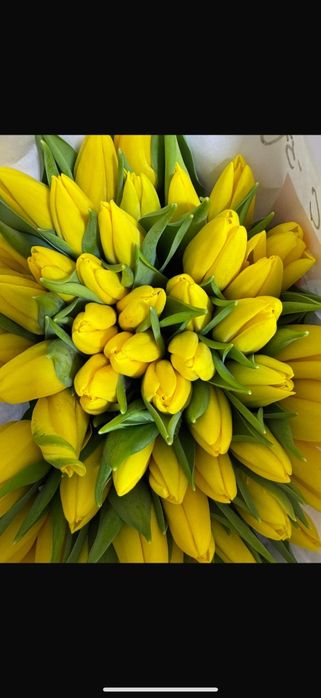 Предлагаю пионовидные тюльпаны.