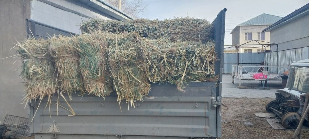 Камыс прес мощный