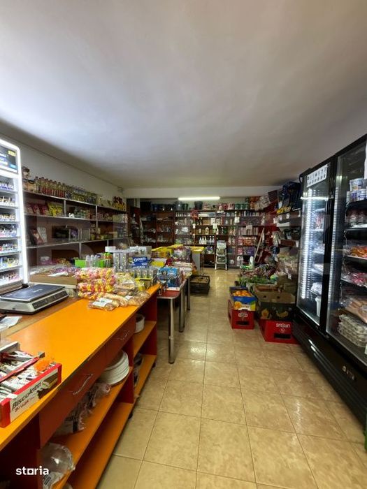 Cladire Mixta De Vanzare In Comuna Dumitra, Oportunitate De Investitie